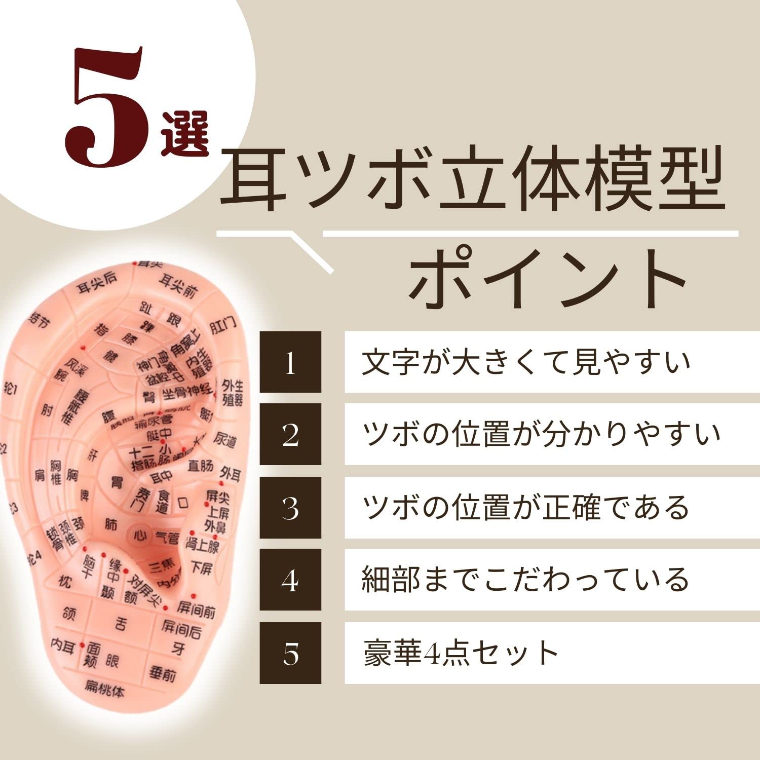 Amazon.co.jp: SevenTone 耳ツボ 模型 シール ｽﾃｨｯｸ 4点ｾｯﾄ 耳壺 17cm